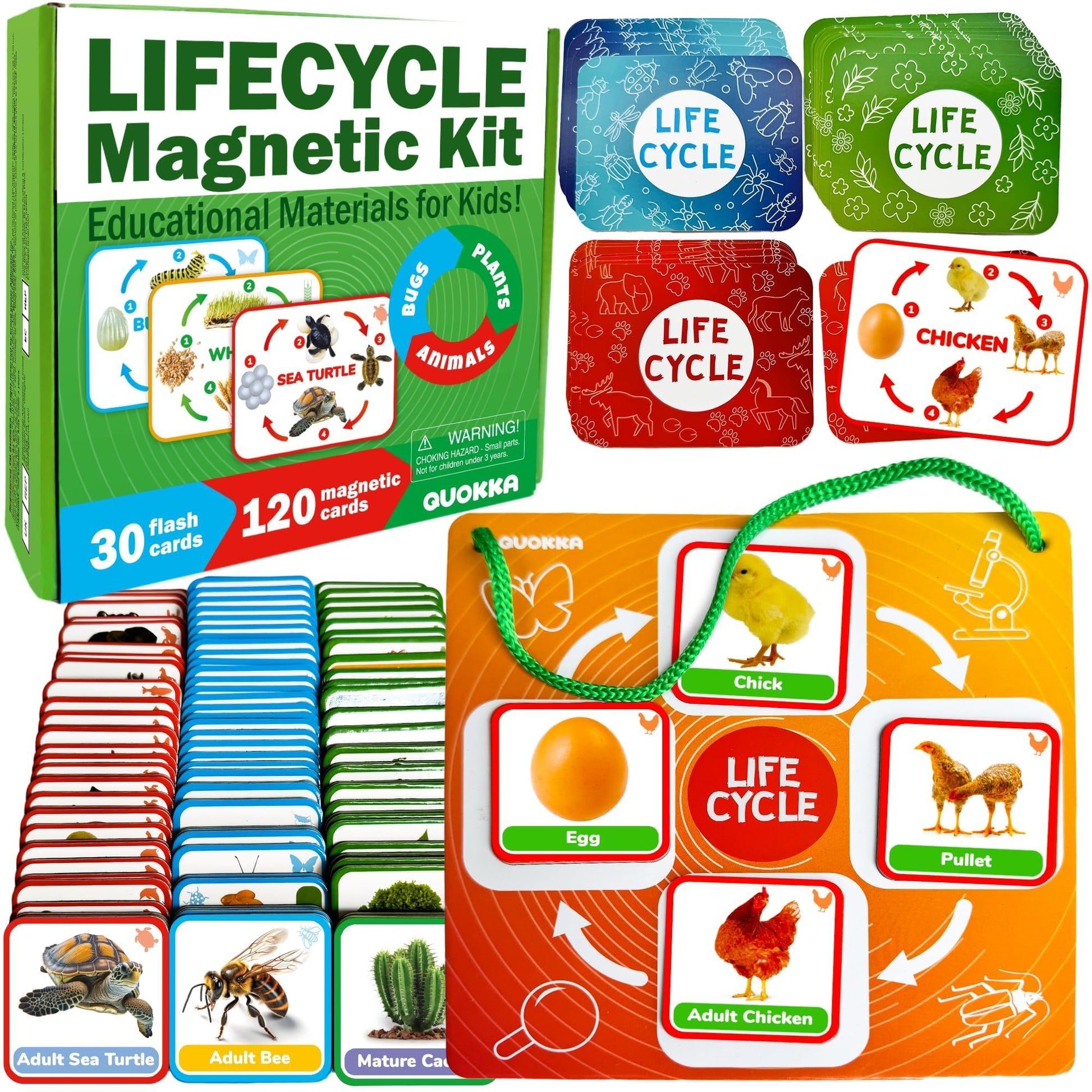 Life Cycle Toys for Kids — Magnetic Flash Cards Science Kits for Kids 3-5