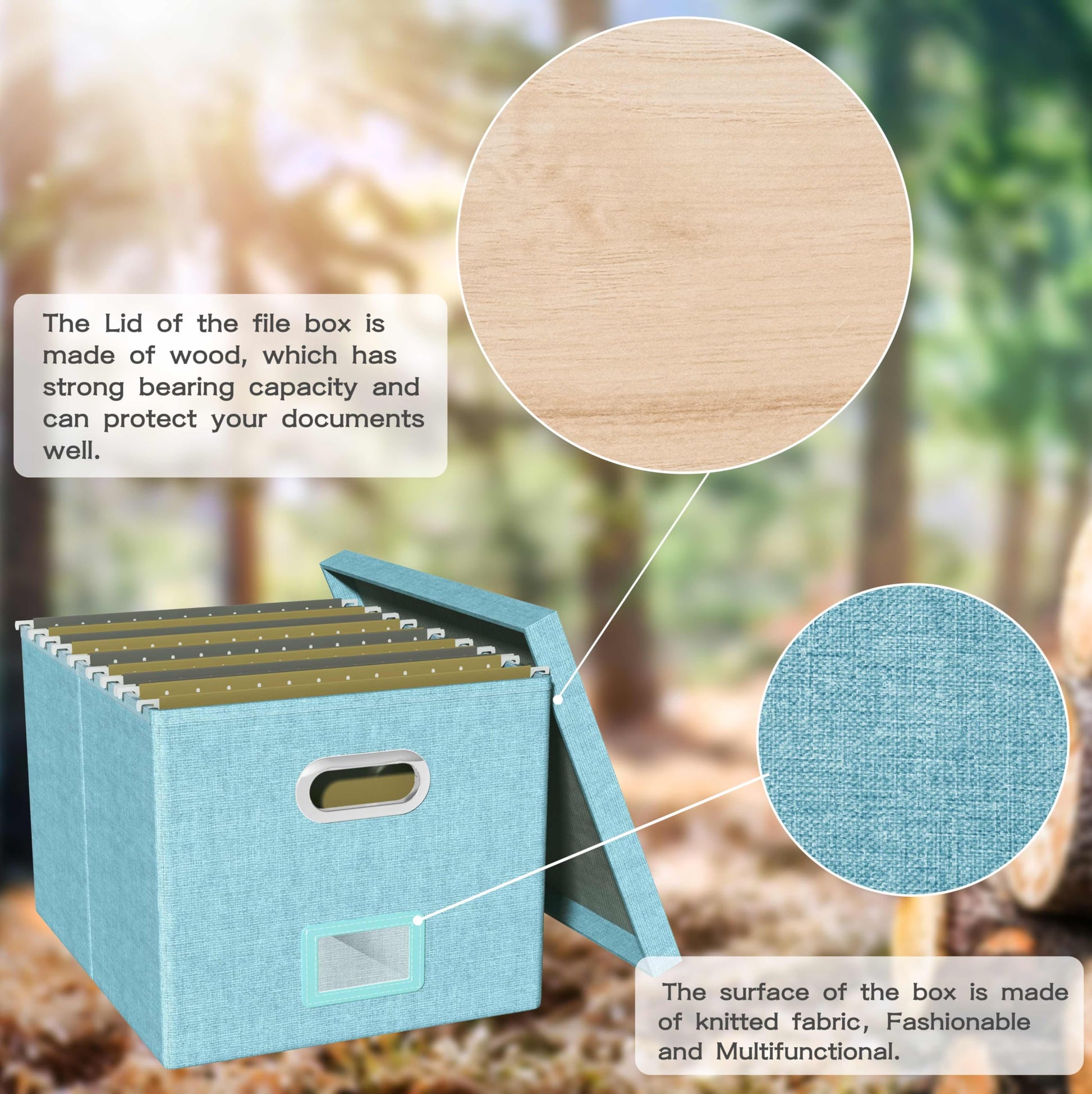 Oterri File Organizer Box with Lid, Portable Hanging File Box for Letter/Legal File Folder Storage