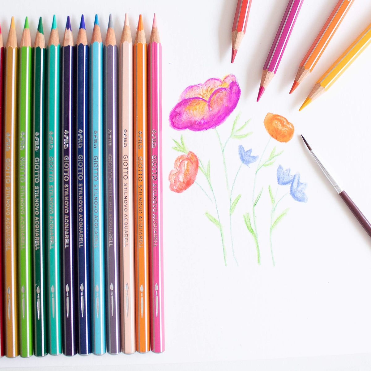Giotto Stilnovo Acquarell Watercolour Colouring Pencils, 4 x 12 Assorted Colours, Ideal for