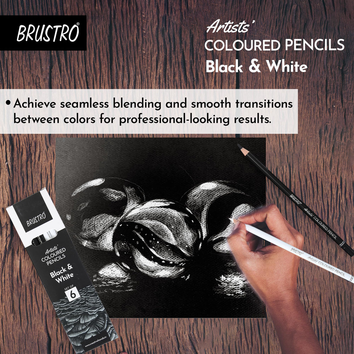 Brustro Artists’ B &W Coloured Pencils Set of 3 Whites and 3 Blacks