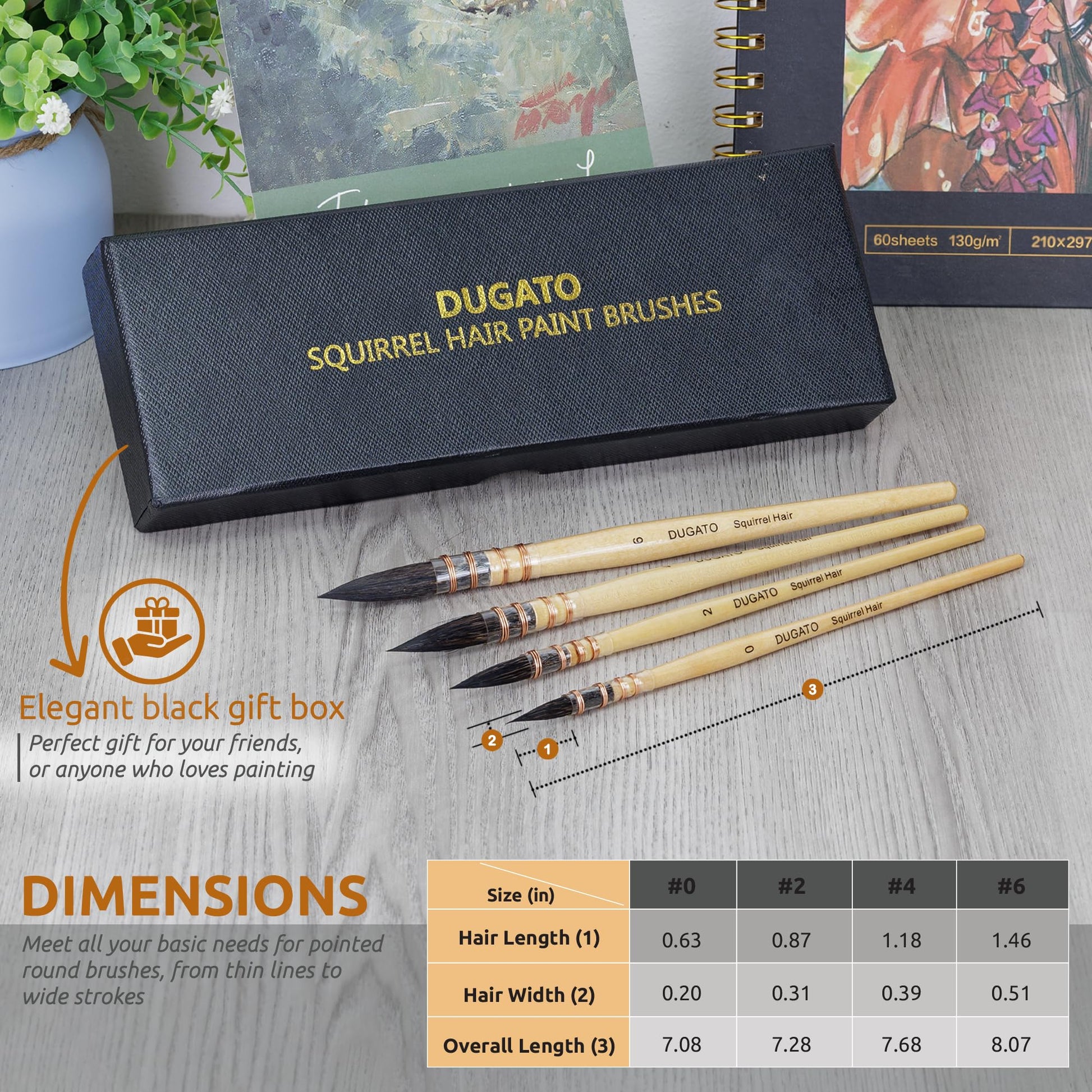 DUGATO Squirrel Hair Watercolor Paint Brushes, Mop Round Tip Brush, 4-Piece