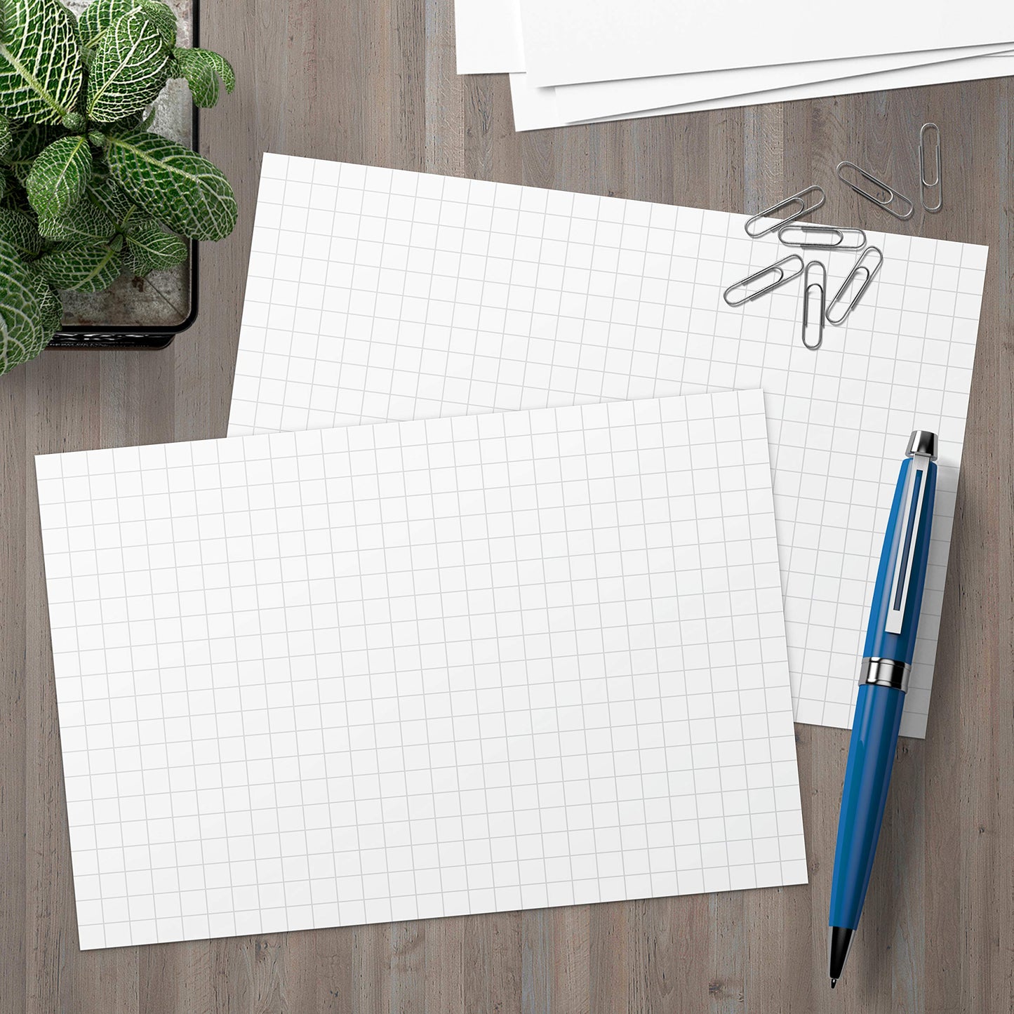 321Done Graph Index Cards, Large 5x7, Set of 50, 0.25" Grid Squares, White