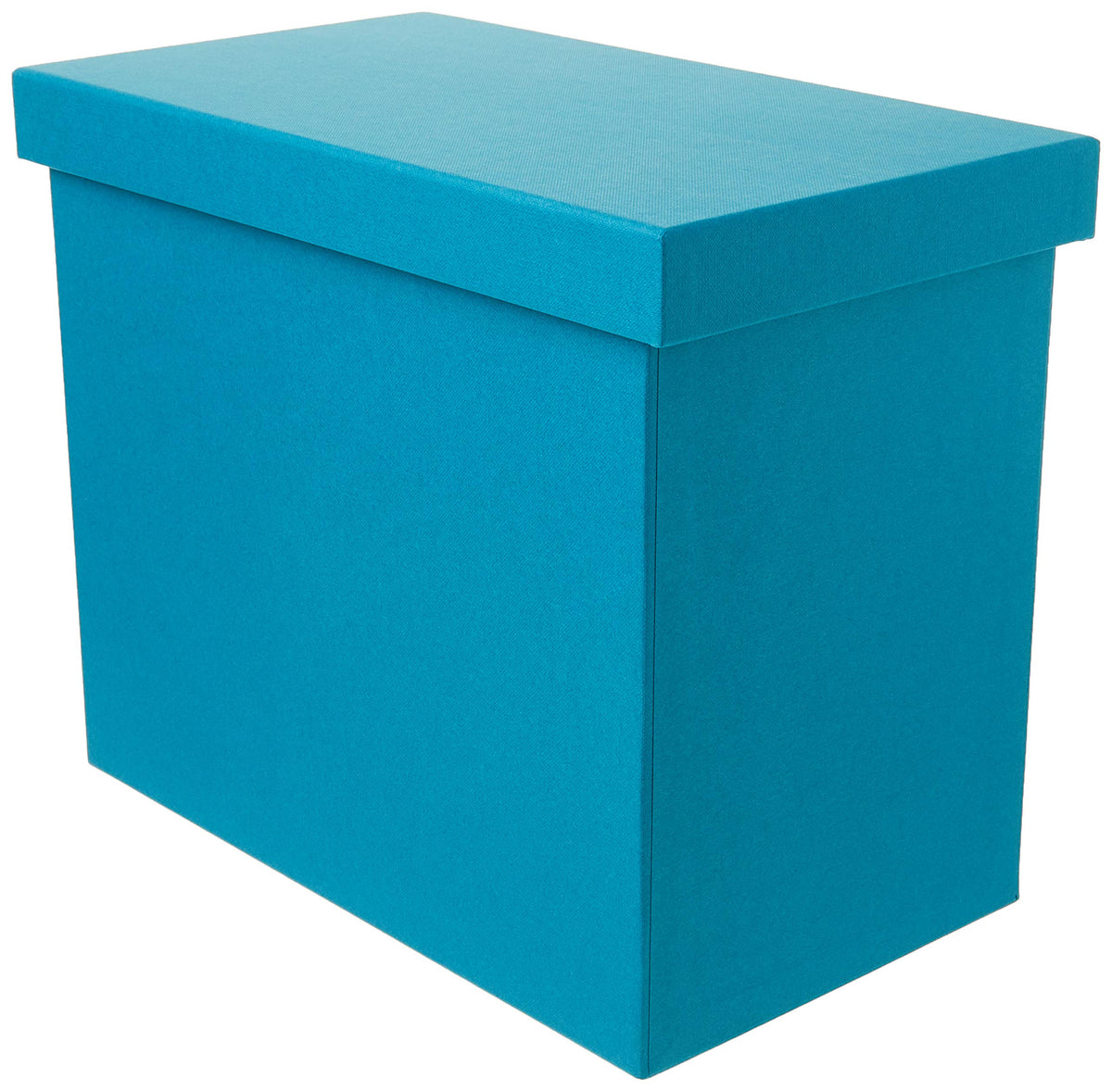 Bigso John Fiberboard Label Frame Desktop File Storage Box - Document Organizer for Important