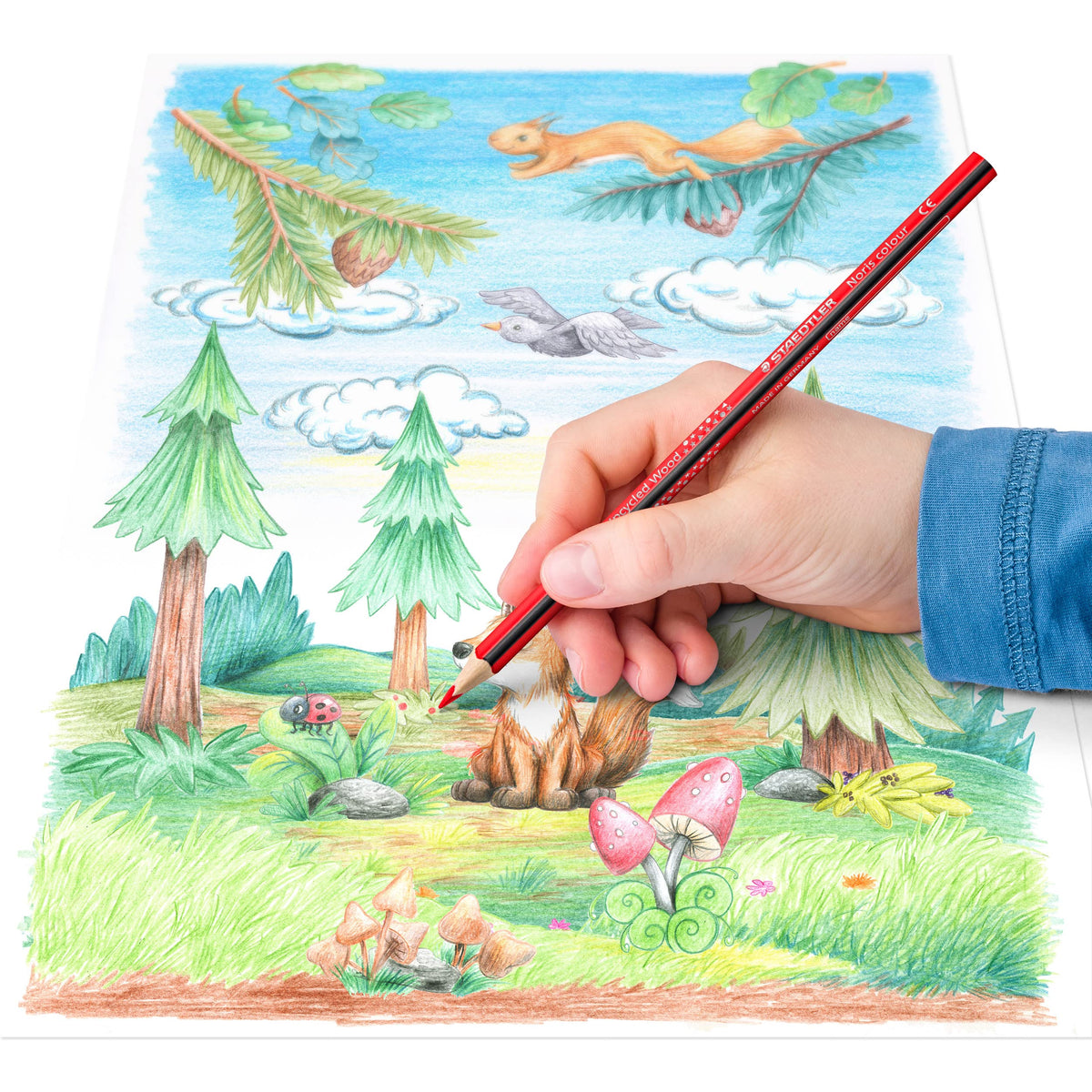 STAEDTLER 187 C12P1 Noris Colour Colouring Pencils (Increased Break-Resistance, Triangular Shape